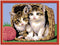 Ravensburger Schilderen op nummer Katjes in een Mand - Hobbypakket