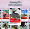 Bird Buddy - Smart Bird Feeder - Nature Cam 2 met AI - Blauw