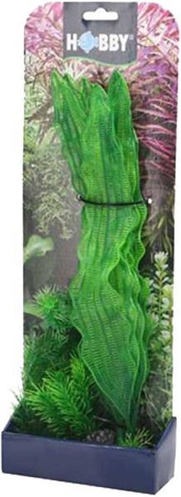 Hobby Plantasy Set 1
