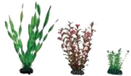 Hobby Plantasy Set 2
