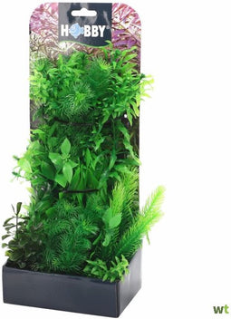 Hobby Plantasy Set 5