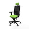 Bureaustoel Piqueras y Crespo 2D066G2 Pistache