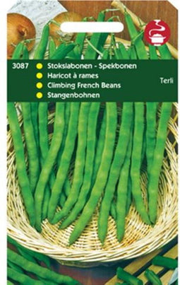 Stokslabonen Terli (Spekboon)