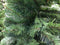 Holiday Tree - Kunstkerstboom Arctic spruce green 270 cm dia 150 cm...