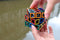Hollow Cube - Breinbreker - Recent Toys - Meffert