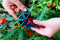 Hollow Pyraminx - Breinbreker - Recent Toys - Meffert's