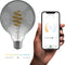 Hombli Smart Filament Bulb - E27 G95 - Smokey - Globe - Warm wit licht - Koel wit licht - Vintage look - Wifi - 1 Stuk