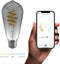 Hombli Smart Filament Bulb - E27 ST64 - Smokey - Edison - Warm wit licht - Vintage look - Wifi - 1 Stuk