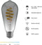Hombli Smart Filament Bulb - E27 ST64 - Smokey - Edison - Warm wit licht - Vintage look - Wifi - 1 Stuk