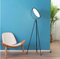 HOMdotCOM Vloerlamp 60 cm x 60 cm x 163 cm