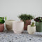 Home Delight - Bloempot 'Nola' (Ø 13cm, maat M)