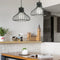 Homestyle Pro Mk109-Bb Industriële Hanglamp 22X18 Cm Zwart/Metaal