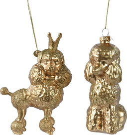 Hond glas l4.8b10h13.7 cm goud a2 kerst