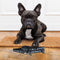 Honden riem - DARTH VADER - S (Lengte 120cm - 1.5cm)
