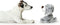 Honden Speelgoed - Knuffel Hond - Bello - Honden Knuffel - Grijs/Bruin - 19 cm