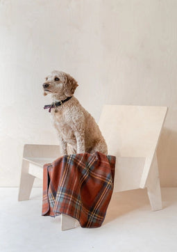 Hondendeken Tartan Antique Royal Stewart Small - Wol - Geurbestendig - Hypoallergeen - 75x90 - TBCo Scotland