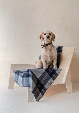 Hondendeken Tartan Bannockbane Silver - Wol - Geurbestendig - Hypoallergeen - 150x90 - TBCo Scotland