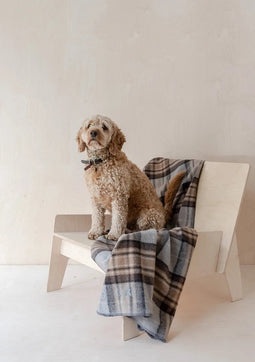 Hondendeken Tartan McKellar - Wol - Geurbestendig - Hypoallergeen - 150x90 - TBCo Scotland