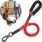 Hondenriem Grote Hond– Leiband Hond – Elastische Honden Riem - Hondenlijn – Looplijn hond – 1.2 Meter – tot 70kg – Reflecterende lijn – Anti-Schok - Rood