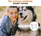 Hondenriem Grote Hond– Leiband Hond – Elastische Honden Riem - Hondenlijn – Looplijn hond – 1.2 Meter – tot 70kg – Reflecterende lijn – Anti-Schok - Rood