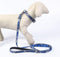 Hondenriem Stitch Grijs Blauw M