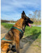 Hondentrektuig - OLYMPIA - S - Type X-back - Blauw