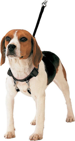 Hondentuigje Gloria 40-60 cm Maat L