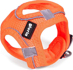 Hondentuigje Gloria Air Mesh Trek Star Verstelbaar Oranje L (33,4-35 cm)