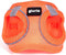 Hondentuigje Gloria Air Mesh Trek Star Verstelbaar Oranje L (33,4-35 cm)
