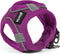 Hondentuigje Gloria Air Mesh Trek Star Verstelbaar Paars Maat XXXS (18-20 cm)