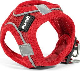 Hondentuigje Gloria Air Mesh Trek Star Verstelbaar Rood Maat XXXS (18-20 cm)