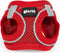 Hondentuigje Gloria Air Mesh Trek Star Verstelbaar Rood Maat XXXS (18-20 cm)