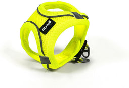 Hondentuigje Gloria Trek Star 27-28 cm 31-34,6 cm Geel XS