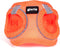 Hondentuigje Gloria Trek Star 27-28 cm 31-34,6 cm Oranje XS