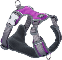 Hondentuigje Red Dingo Dingo 47-73 cm 56-80 cm Paars L