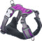 Hondentuigje Red Dingo Dingo 47-73 cm 56-80 cm Paars L