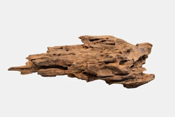 Honeycomb wood medium