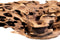 Honeycomb wood x large
