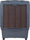 HONEYWELL CO60PM AIRCOOLER