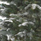 Black Box Trees Frosted Stelton Kunstkerstboom - H185 cm - Groen