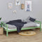 Hoppekids ECO Dream My Color juniorbed 90x200 cm, Bleekgroen