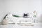 Hoppekids ladekast voor bedden van 70x190cm en 90x200cm, wit.