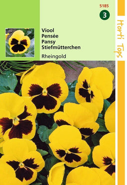 2 stuks - Hortitops - HT Viola, Viool Rheingold