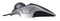 Kensington Orbit - Optische Trackball - Ergonomisch - Zilver