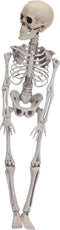 Horror decoratie hangend skelet 42 cm - Halloween thema versiering poppen