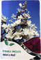 Hortensia Paniculata Wim s Red