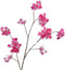 Hortensiatak l115 cm beauty