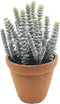 Hottentot in pot 30 cm kunstplant