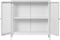 House Nordic Kast Dalby - 80x35x80cm - Wit - Metaal - 2 Deuren