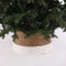 House of Seasons Kerstboomrok - H26 x Ø50 cm - Zeegras - Off White